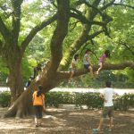 img_20160822_124211